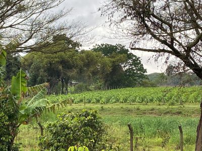 Final de semana com temperaturas aumentando mas com chuva