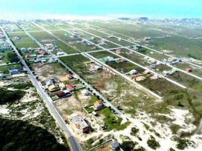 Prefeitura investe mais de R$ 70 mil para capturar ratos em extinção, para depois poder abrir rua