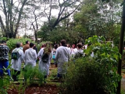 Araranguá terá a primeira escola ecológica de Santa Catarina