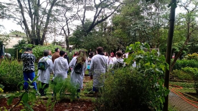 Araranguá terá a primeira escola ecológica de Santa Catarina