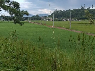 Homem morre afogado em açude em Meleiro