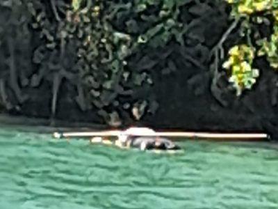 Suspeitos de duplo homicídio são presos