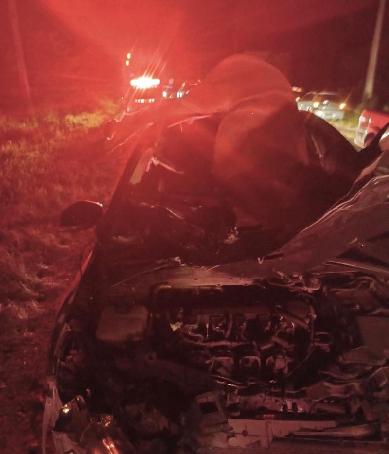 Motorista fica gravemente ferido ao atropelar e matar cavalo. Vídeo