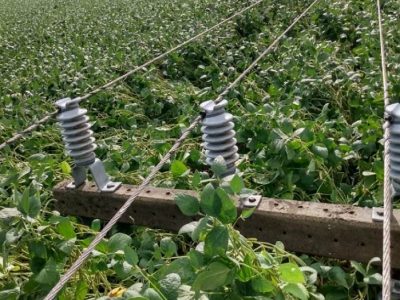 Celesc reestabelece fornecimento de energia elétrica nas cidades do Extremo Sul