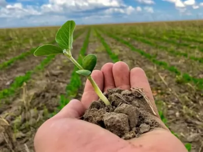 Inscrições abertas para o curso de graduação em Engenharia Agronômica do IFC Santa Rosa do Sul
