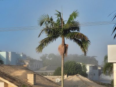 Dias frios pela manhã, mas com tempo bom