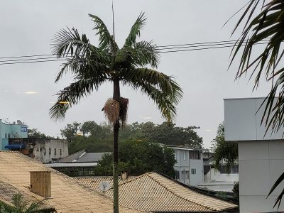 “Vamos ter um período tenso nas próximas 36 horas”, alerta Ronaldo Coutinho