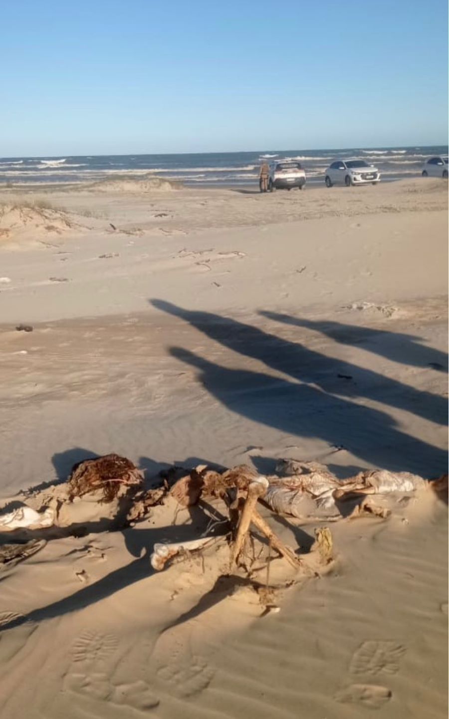 Casal acha ossada humana em dunas da Praia da Caçamba