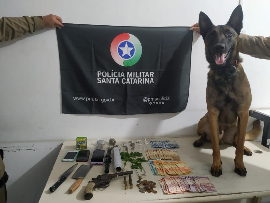 Polícia Militar apreende drogas, arma de fogo, e munições na posse de adolescente no Arroio do Silva