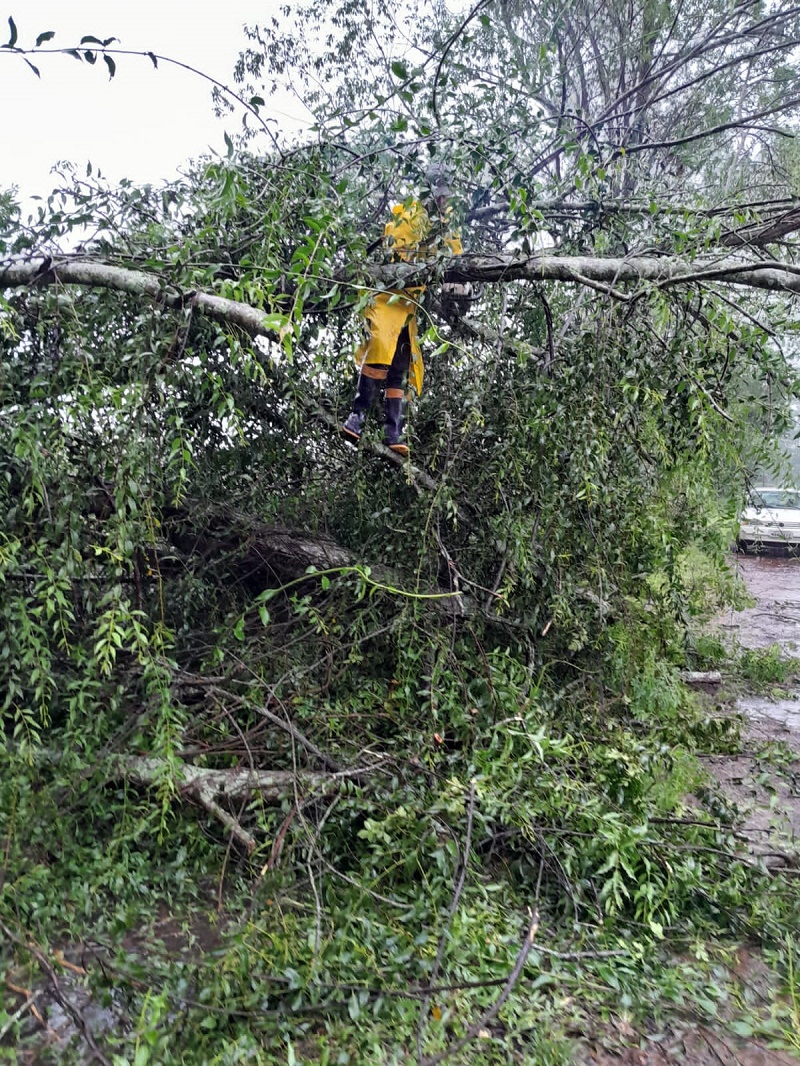 Balneário Gaivota registra queda de postes e árvores e muitas famílias afetadas pela chuva