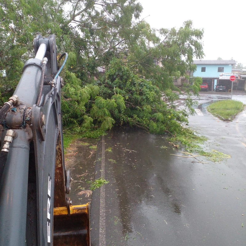 Árvore caída bloqueia parcialmente entrada de Araranguá; Defesa Civil monitora nível do rio