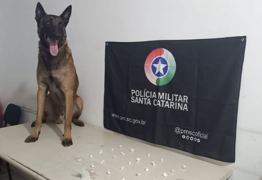 Cão Argo do 19º Batalhão encontra drogas em prédio abandonado do bairro Polícia Rodoviária