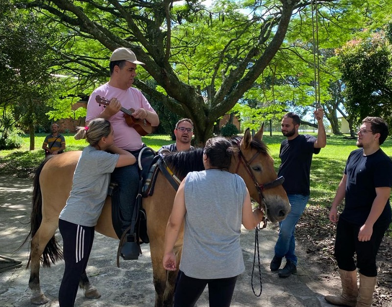 Equoterapia em Araranguá: cavalos ajudam na recuperação de pacientes
