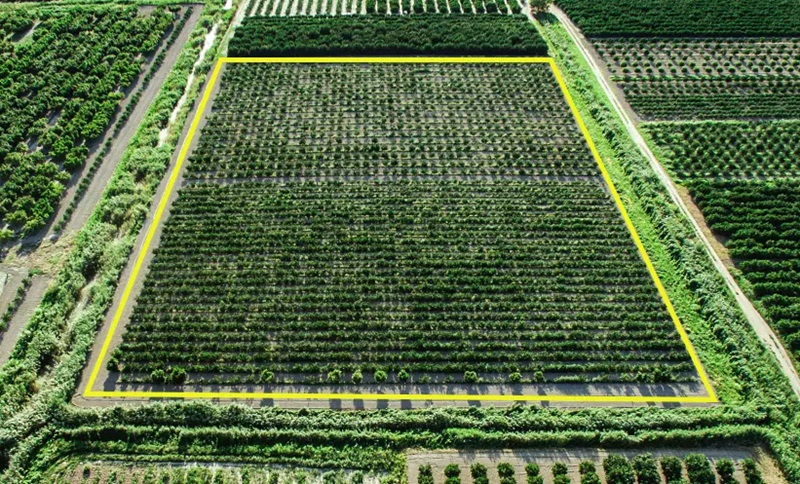 Terras agrícolas: preço do hectare quase dobra, e já supera os R$ 55 mil; saiba a tendência para este ano
