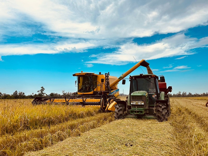 Prazo para entrega da declaração do Imposto de Renda segue até o dia 31 de maio