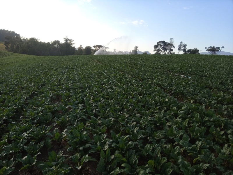 Secretaria da Agricultura e secretaria de Governança Fundiária promovem Oficina Nacional De Crédito Fundiário