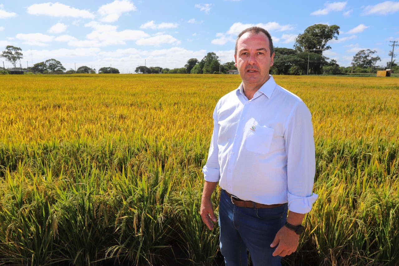 Presidente da Federarroz critica importação desnecessária de arroz pelo Governo Federal em entrevista à Rádio Araranguá