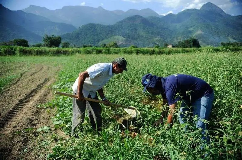 Agricultura familiar de SC participa de feira para empresas de alimentação