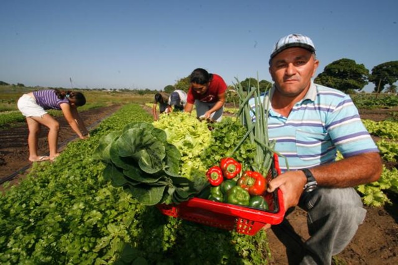 Ceasa/SC destaca o agronegócio familiar num dos maiores eventos de alimentação do Sul do país