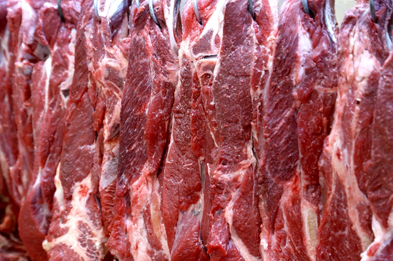 Exportações de carne bovina batem recorde em outubro e registram alta de 26,86% no volume