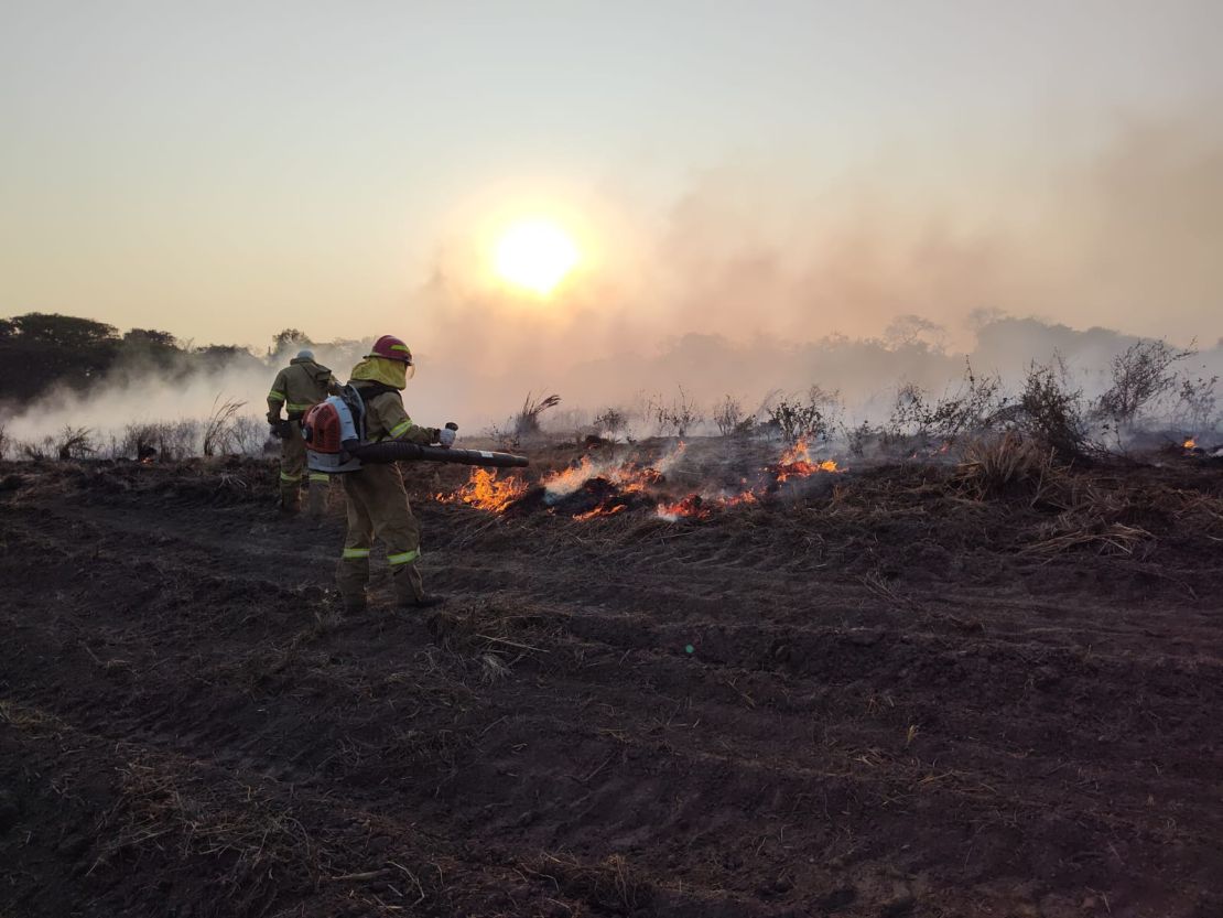 Queimadas no Pantanal: bombeiros relatam o trabalho realizado no combate aos incêndios florestais