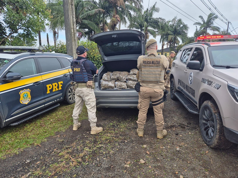 Fuga a 180km/h, desrespeito a barreiras policiais e apreensão de quase 50 Kg de Skunk: os detalhes da megaoperação no Sul do Estado