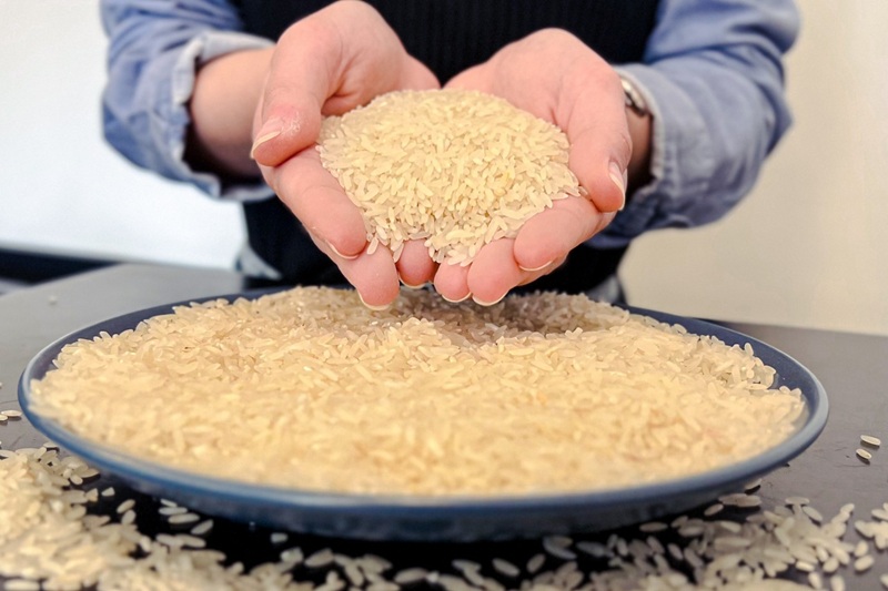 Preço do arroz continua a cair e aumenta preocupação da cadeia produtiva