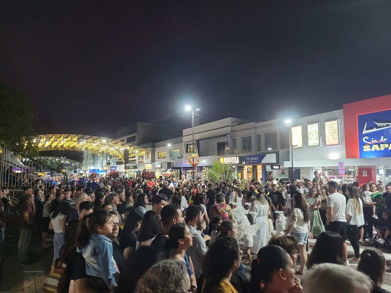Araranguá se prepara para o “Natal das Avenidas” com nova decoração e shows de Roupa Nova e Camerata