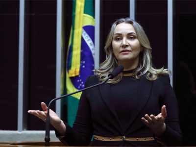 Deputada Daniela Reinehr propõe prorrogação do prazo para georreferenciamento de imóveis rurais