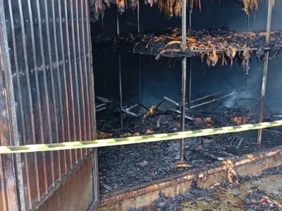 Incêndio atinge estufa de fumo no interior de São João do Sul