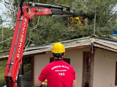 Bombeiros removem arvore que caiu sobre casa na Praia da Meta