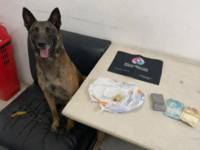 Polícia Militar prende traficante com drogas na favela do bairro Divinéia em Araranguá