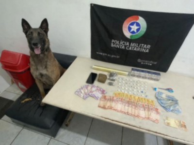 Polícia Militar descobre ponto de tráfico de drogas que funcionava em mercearia no Lagoão