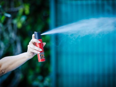 Finanças aprova projeto que garante spray de pimenta para mulheres sob medida protetiva