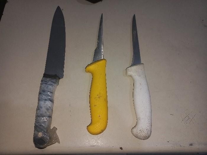 Quatro homens são presos por tentativa de furto de gado em Araranguá