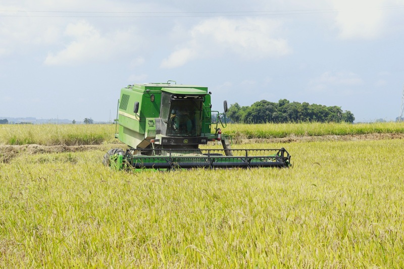 Instabilidade geopolítica no estreito de Ormuz prejudica produção de arroz em Santa Catarina