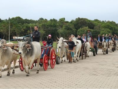 II Encontro de Carro de Boi celebra tradição, emoção e o orgulho de ser carreteiro