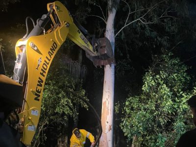 Bombeiros evacuam moradores de duas casas e removem árvore que ameaçava desabar em Santa Rosa do Sul