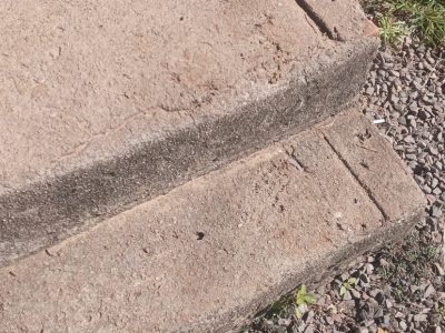 Homem é preso por maus tratos contra animais e ameaça a esposa em Santa Rosa do Sul