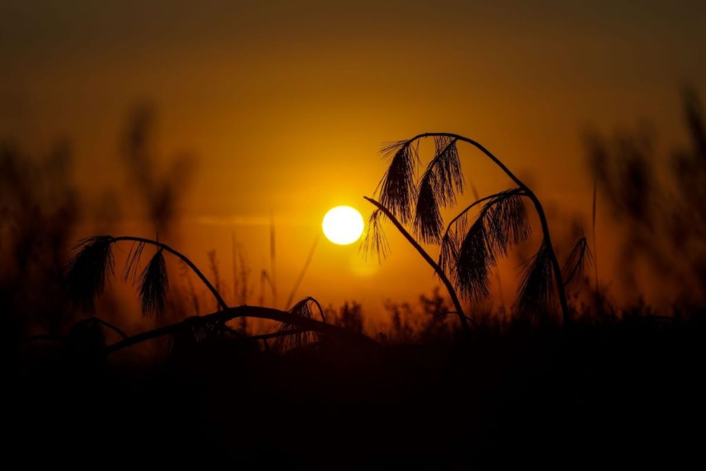 Santa Catarina tem semana de sol antes da chegada de frente fria e virada no tempo