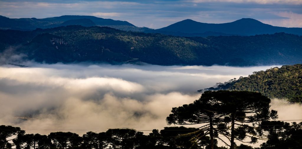 Dia das Mães terá frio intenso e geada em Santa Catarina com avanço de massa de ar polar