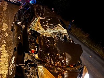 Ciclista é atropelado e fica gravemente ferido no interior de Turvo e automóvel atropela e mata cavalo na mesma rodovia