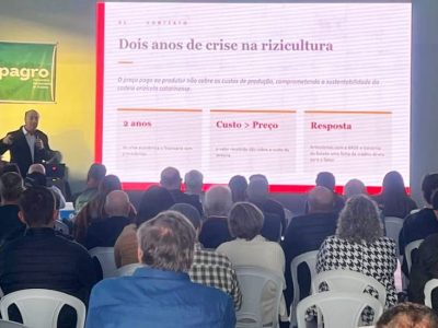 Leilão da Conab movimenta 2,5 mil toneladas de arroz catarinense e reforça apoio aos produtores