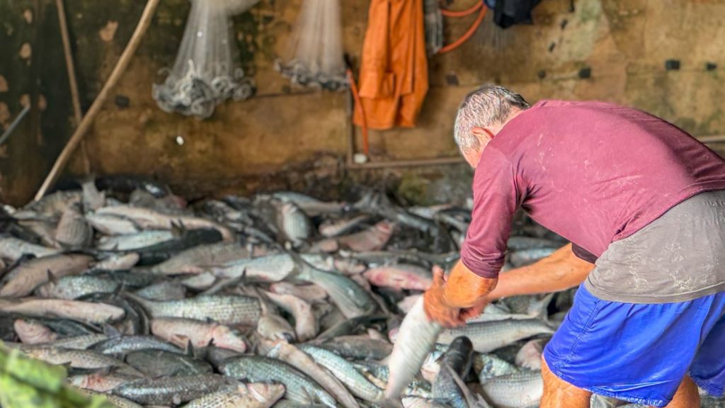 Nova cota de 200 toneladas permite retomada da pesca de arrasto no Sul do Estado