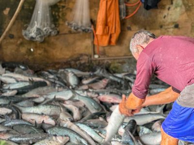 Nova cota de 200 toneladas permite retomada da pesca de arrasto no Sul do Estado