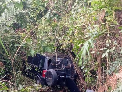 Mulher fica ferida após veículo sair de rodovia e cair em mata no interior de Turvo