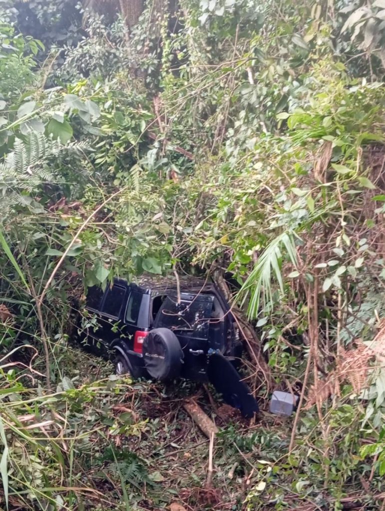 Mulher fica ferida após veículo sair de rodovia e cair em mata no interior de Turvo