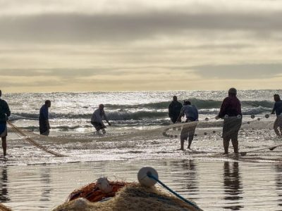Governo do Estado aciona Justiça Federal para derrubar cotas da pesca artesanal da tainha em Santa Catarina