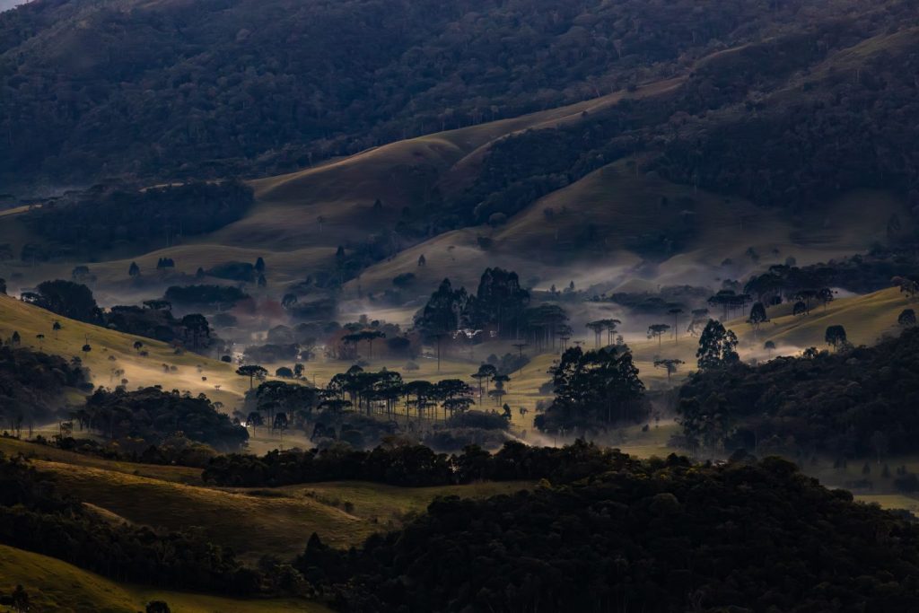 Defesa Civil de Santa Catarina emite aviso para onda de frio ao longo desta semana