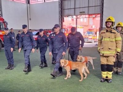 Santa Catarina envia bombeiros e cães de busca para simulado interestadual de desastres no Rio Grande do Sul